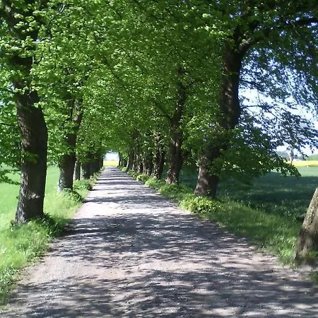 Ruegenfewo-am-feldrain Lejlighed